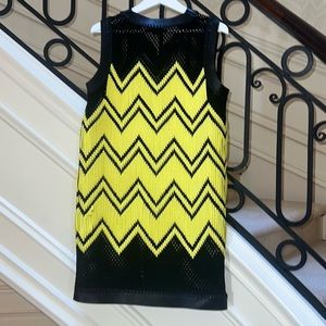 Rare Alexander Wang Mini Dress